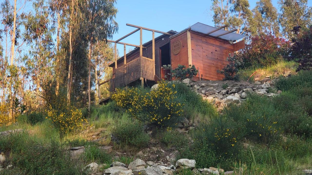 Woodhouse Near River - Near Ocean - Near Porto Exterior foto